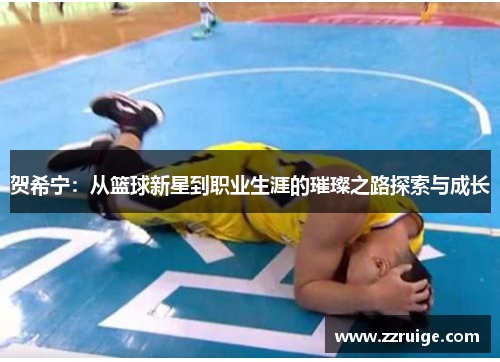 贺希宁：从篮球新星到职业生涯的璀璨之路探索与成长