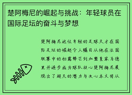 楚阿梅尼的崛起与挑战：年轻球员在国际足坛的奋斗与梦想